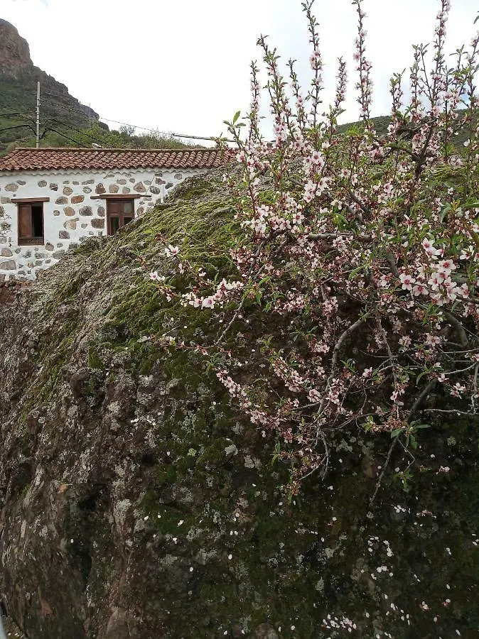 Casa de Férias Ilusiones Vila Tejeda